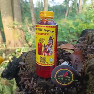 Minyak Urut Dayak ASLI KALIMANTAN Perisai Borneo Gosok Pijat 250 ml