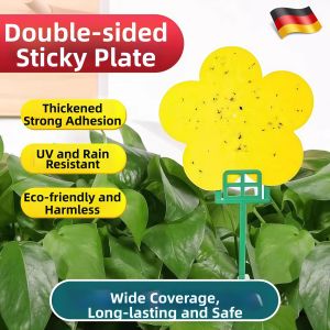 WEVOLA | Fruit Fly Insect Trap Yellow Board