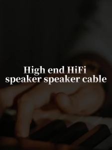 YYTCG | YYTCG One Pair HIFI Silver-plated Speaker Cable High-end 7N OCC Speaker Wire For Hi-fi Systems Banana Plug Y Plug Speaker Cable