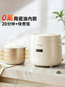Bear | Mini Household Rice Cooker for 1-2 Persons