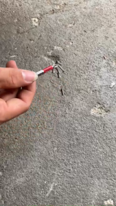 Mũi Vít PH2 Chống Trượt TOOLJOY Mũi Bắn Vít 1 Đầu PH2 Bake Chữ Thập Từ Tính Cao Chân Lục Giác Ngắn 6.35mm