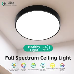 YISOEM | Modern Simple Round LED Ceiling Light