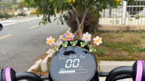 Set 5 Bông Hoa Cầu Vòng Mini Lắc Lư Trang Trí Taplo Ô Tô Bàn Học Bàn Làm Việc Đáng Yêu