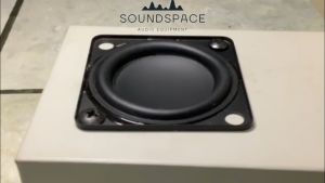 Speaker 2 inch 50mm 12 watt Super Asoka HIFI Mini Speaker