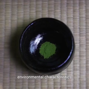 SG Premium Matcha Set Ceremony Premium Set Kit Matcha Bowl Whisk Set Tool Bamboo Brush Household Baking Matcha Tea Tools