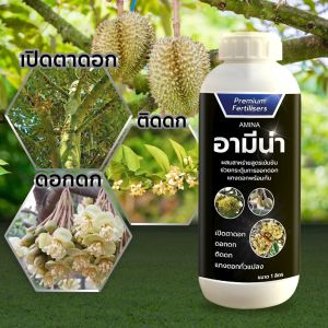 เปิดตาดอก อามีน่า ดอกดก ติดผลมากขึ้น ขนาด 1ลิตร สาหร่าย อะมิโน เปิดตาดอกทุเรียน