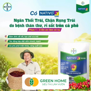 Chế Phẩm Trừ Bệnh NATIVO 750WG GreenHome Gói 6gr Đặc Trị Thán Thư Đốm Lá Phấn Trắng Cho Cây Trồng