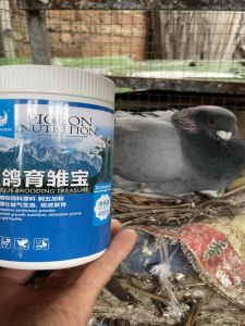 OuNaiDe Pigeon Health Sand Pigeon Bone Strengthener Growth Promoter Young Pigeon Nutritional Tablets Calcium Supplement
