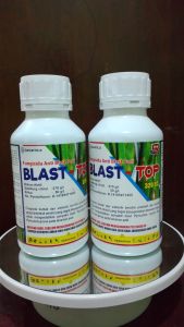 Fungisida BLAST-TOP 320 SC ++SILICA Tanaman kuat tahan rebah ga terkena blastbobot buah padi meningkat warna gabah bening kemasan 500ml