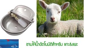 ถ้วยให้น้ำสัตว์เลี้ยง ระบบลูกลอยเติมน้ำ #ให้น้ำม้า ให้น้ำวัว ให้น้ำแพะ ให้น้ำแกะ ถ้วยสแตนเลส#