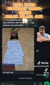 Essen Biang Mangga Kweni Murni Water Base Umpan Ikan Mas Lele Patin Mujair Bawal