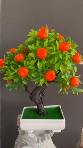 ต้นไม้มงคล ต้นส้มลูกดก พร้อมกระถาง ต้นไทรใหญ่ ส่งจากไทย