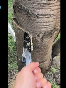 Gergaji Kayu Super Tajam Gergaji Tangan 51cm Gergaji Prostek Kayu Hand Saw Gergaji Serbaguna