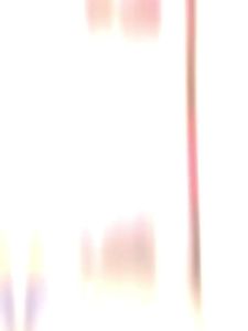ETY | Birthday Party Atmosphere Decoration Banner