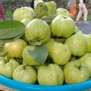 jambu kristal 1kg berkualitas