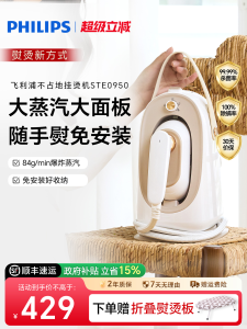 Silk Steaming Clothes Iron 0950