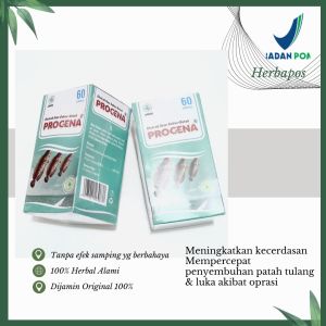 Procena 60 kp Ektrak ikan kutuk Terlaris | Dijamin Original asli | procena