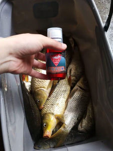 Wild Fishing Carp Baits Attractant Particle Formula Additives Yake King Brand Lake River Stream Fishing Gear Outdoor Sports