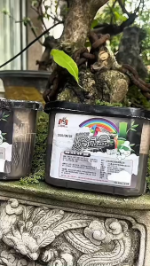 Hộp Hút Ẩm Khử Mùi 500ml Chống Ẩm Mốc Hiệu Quả