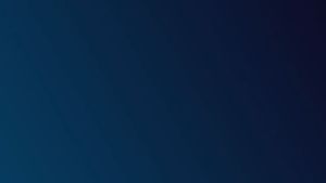 CorelDraw Standard 2021 Original License