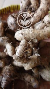Temu ireng Segar Organik 500gr - Gunung Kidul