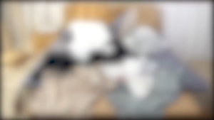 Pelipat Baju Anak Flipfold Magical Clothes Folding Board Laundry PB9A