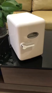 PANSON 4L Car Mini fridge Beauty Fridge/Skincare Fridge/Cosmetics Portable Refrigerator1