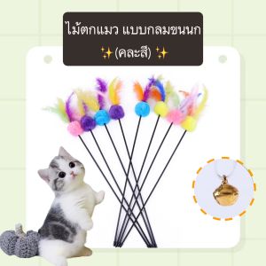 PE-389 ไม้ตกแมว ไม้ล่อแมว (คละสี) แบบกลมขนนก ของเล่นแมว  ยาว 60 cm. ราคาถูก พร้อมส่ง🙌🏻🙌🏻