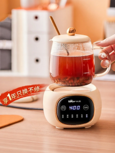 「China Plug」Bear | Multi-functional Mini Electric Kettle for Office