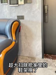 BASISHOME Simple Modern Shoe Rack Multi-layer Shoe Organizer Iron BTO Shoe Rack HDB Shoe Rack