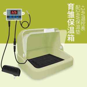 Factory Parrot Incubator Wooden Box Temperature Control Hand-Feed Birdling Tiger Skin Xuanfeng Brood Box Nestling Peony Bird Insulation Complex