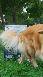 Cat Dog Story All stage Dog Food 10kg