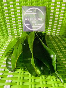 Daun srikaya daun nona srikaya segar 300 gram-az