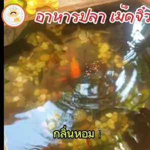 อาหารปลา เม็ดจิ๋ว สำหรับปลาขนาดเล็กทุกชนิด หรือปลาสวยงาม ปลาหางนกยูง ปลาสอด ปลาทอง, แบ่งขาย 50 กรัม