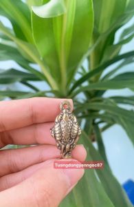 Thiềm thừ đồng phong thuỷ