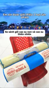 Gối cao su non - gối nằm cao su gối ôm cao su Khang An Store gối chống đau cổ gối công thái học gối ôm cao cấp