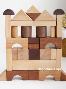 Shape Recognition Wooden Building Blocks
