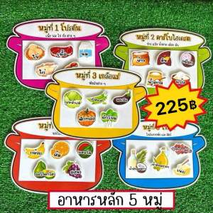 สื่อการสอนอาหารหลัก 5 หมู่ สื่อการสอนสุขศึกษา วิทยาศาสตร์