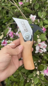 Lưỡi dao đơn trích nhựa thông hàng nhập khẩu chính hãng đã mài sắc bén.