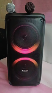 Brudo BTS-2091 Dual 6.5-inch Professional Bluetooth Speaker
