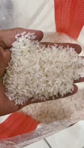 (BISA COD) PROMOO BERAS PULEN SUPER 10 SEPULUH KG KILOGRAM BERAS JAYA CIKARANG