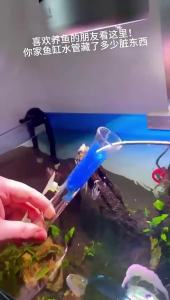 DUTRIEUX | Flexible Double Head Drain Spring Hose Brush Stainless Steel Aquarium Pipe Cleaner Extended Durable Water Tube Cleaning Brush