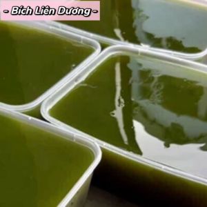 Bột Thạch Găng Nguyên Chất Từ Lá Găng Trên Núi Tam Đảo