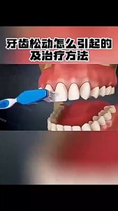 Probiotic Toothpaste 120ml Teeth Whitening Brightening Toothpaste Pemutih Ubat Gigi