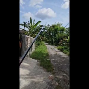 Promo Tegek Ogawa Kirin 300 360 450 540 630 720 Carbon Lentur Kuat Tongkat Pancing Untuk Nila COD