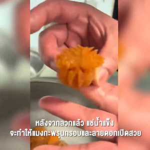 แมงกะพรุนหัวกระสุน แบบเค็ม 500g / 1kg ตัวใหญ่
