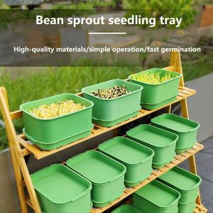 Bean Sprout Seedling Tray: A Comprehensive Guide