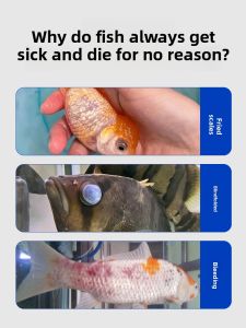 VOA | Fish Tank Antifungal Salt for Tail Rot and White Spot Prevention