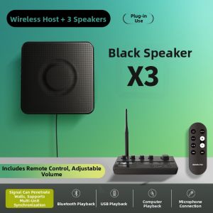 Multi-unit Wireless Sync Store-use Speaker