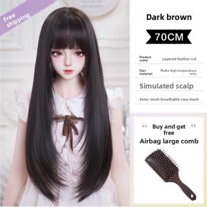 AINIYA | Long and Voluminous Feather Cut Wig